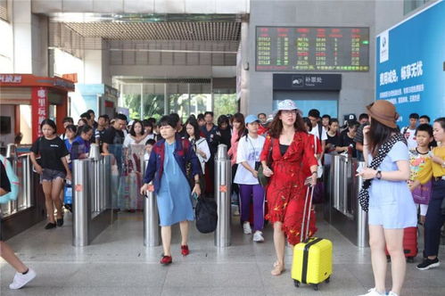 海口五個(gè)臨時(shí)旅游服務(wù)臺(tái)高效運(yùn)作，累計(jì)服務(wù)近7萬(wàn)人次彰顯旅游服務(wù)新高度